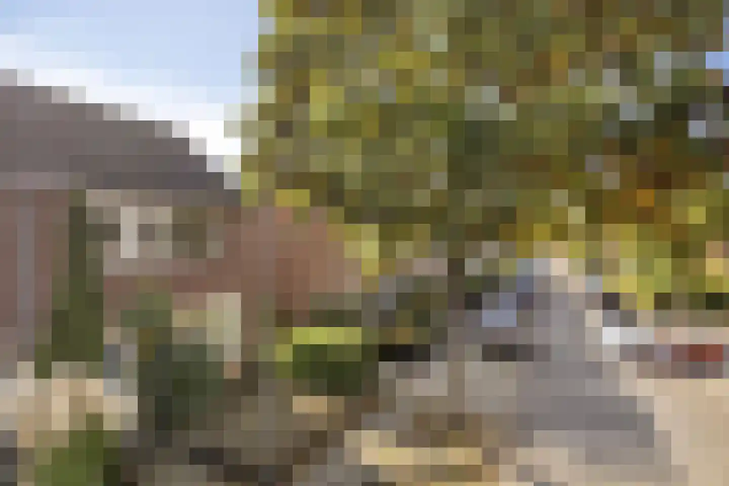 Willem Barentszstraat 17 Rheden thumbnail 31