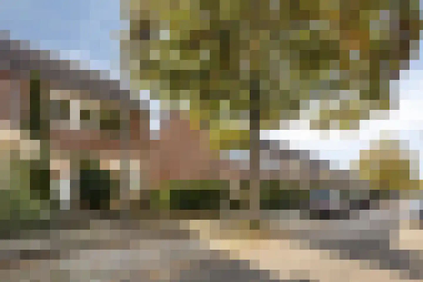 Willem Barentszstraat 17 Rheden thumbnail 32