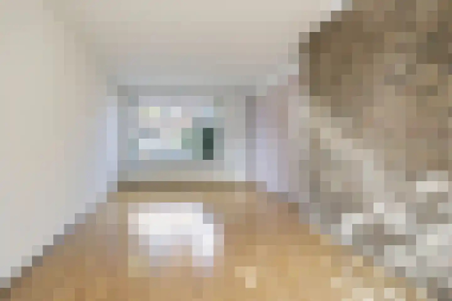 Willem Barentszstraat 17 Rheden thumbnail 8
