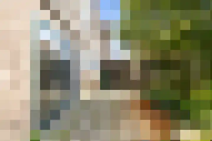 Willem Barentszstraat 192 Den Helder thumbnail 8