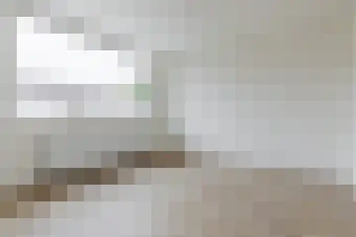Willem Barentszstraat 2 Terneuzen thumbnail 14