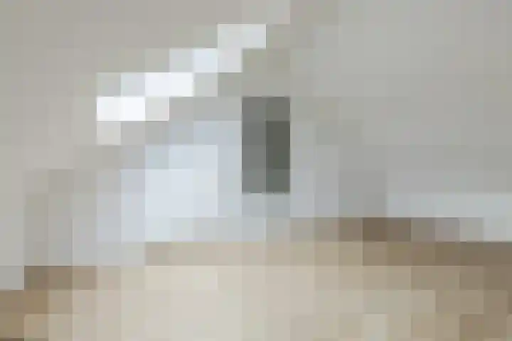 Willem Barentszstraat 2 Terneuzen thumbnail 23