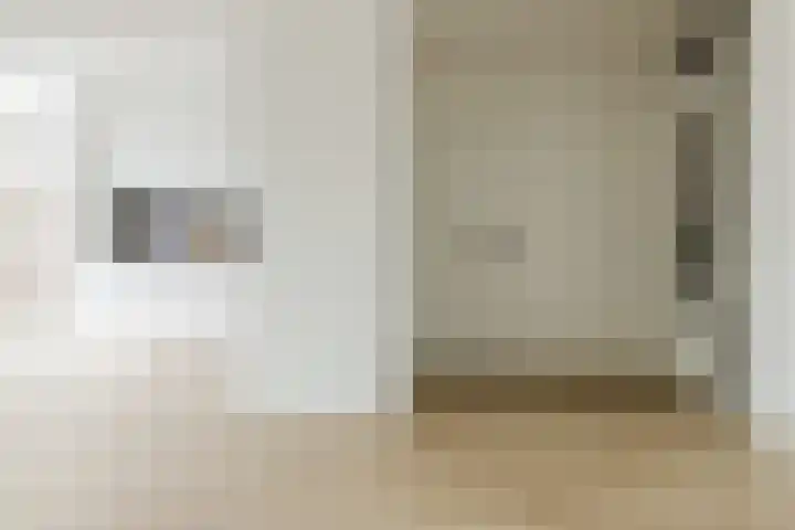 Willem Barentszstraat 2 Terneuzen thumbnail 7