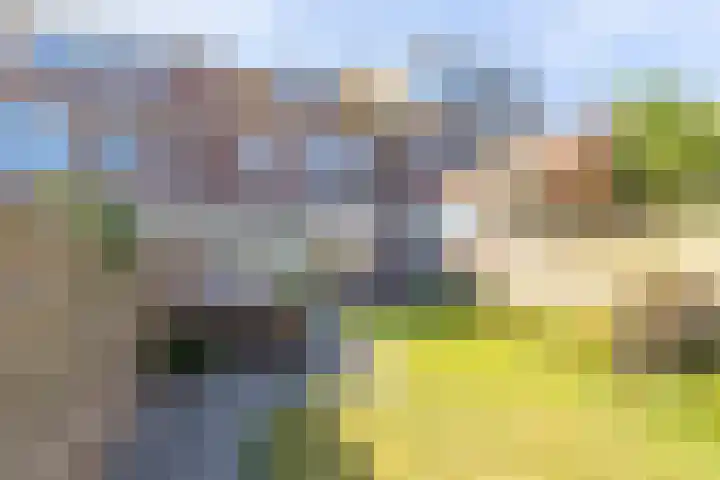 Willem Barentszstraat 3 Den Helder thumbnail 17
