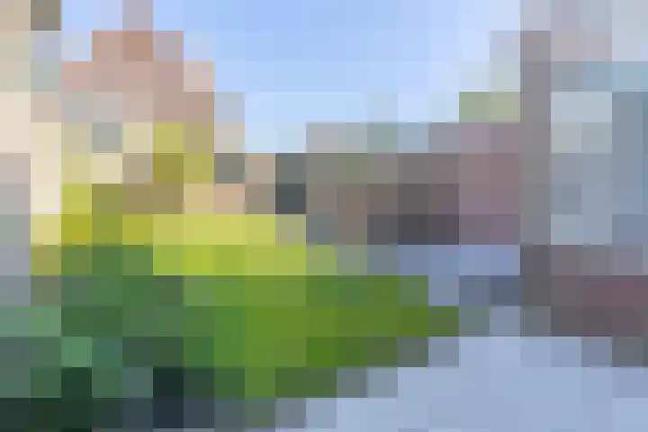 Willem Barentszstraat 3 Den Helder thumbnail 18