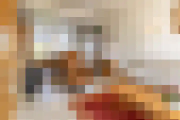 Willem Barentszstraat 3 Den Helder thumbnail 8