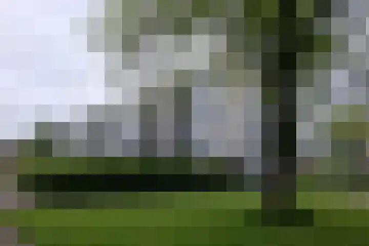 Willem Barentszstraat 32 in Dordrecht