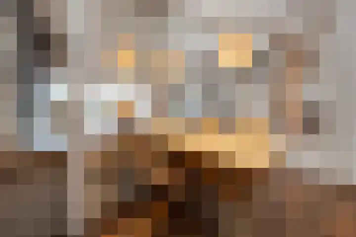Willem Barentszstraat 37 Barneveld thumbnail 14