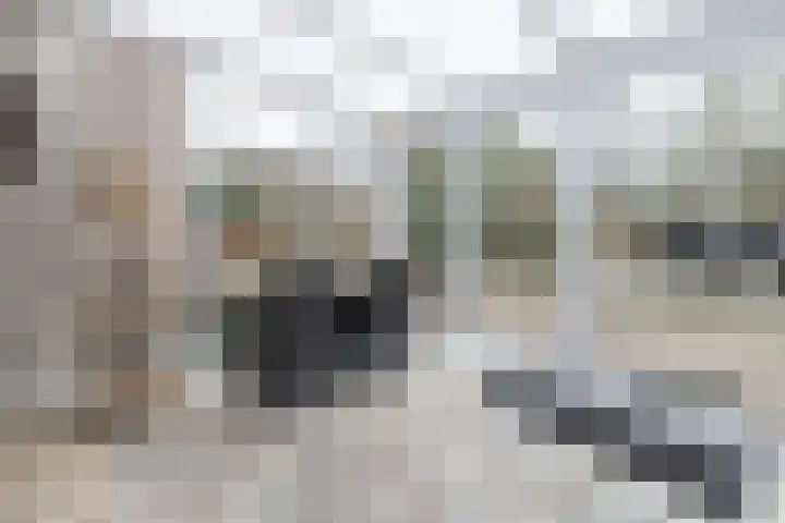 Willem Barentszstraat 37 Barneveld thumbnail 17