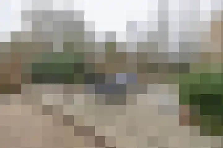 Willem Barentszstraat 37 Barneveld thumbnail 39