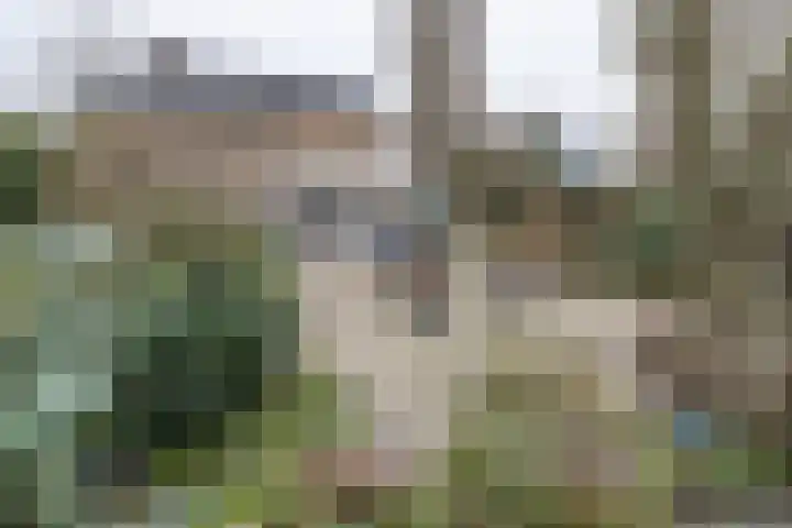 Willem Barentszstraat 37 Barneveld thumbnail 41