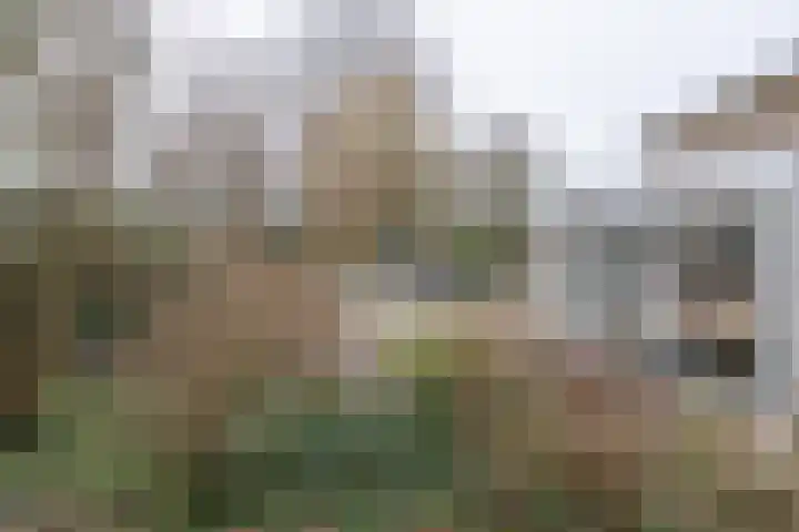 Willem Barentszstraat 37 Barneveld thumbnail 42