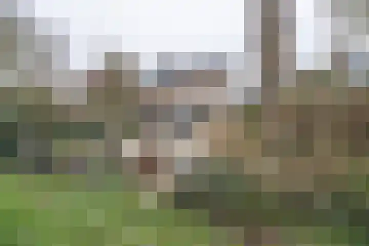 Willem Barentszstraat 37 Barneveld thumbnail 44