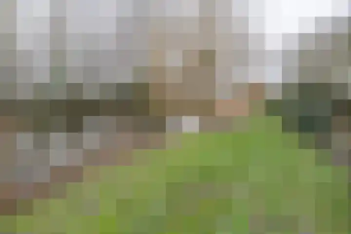 Willem Barentszstraat 37 Barneveld thumbnail 47