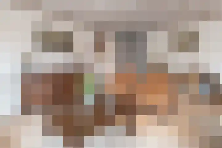 Willem Barentszstraat 37 Barneveld thumbnail 5
