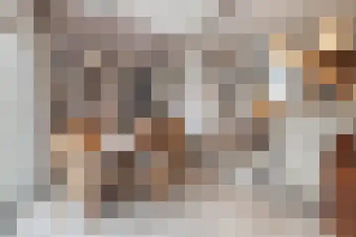 Willem Barentszstraat 37 Barneveld thumbnail 8