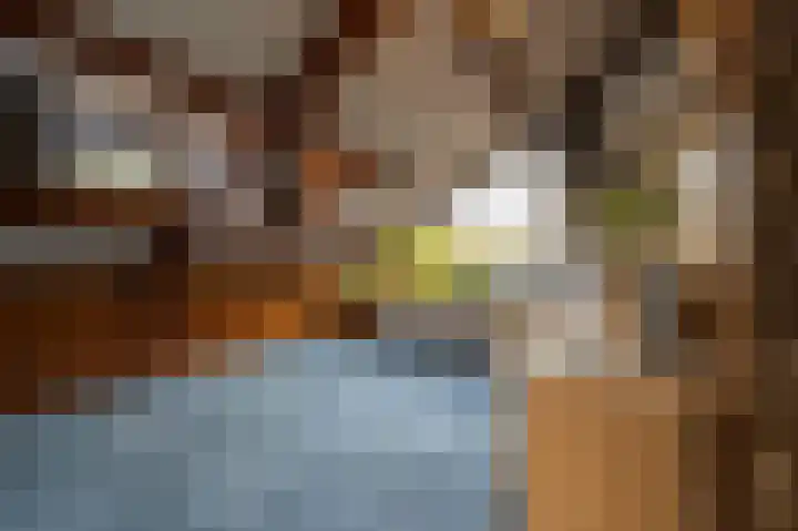 Willem Barentszstraat 4 Oud-Beijerland thumbnail 30