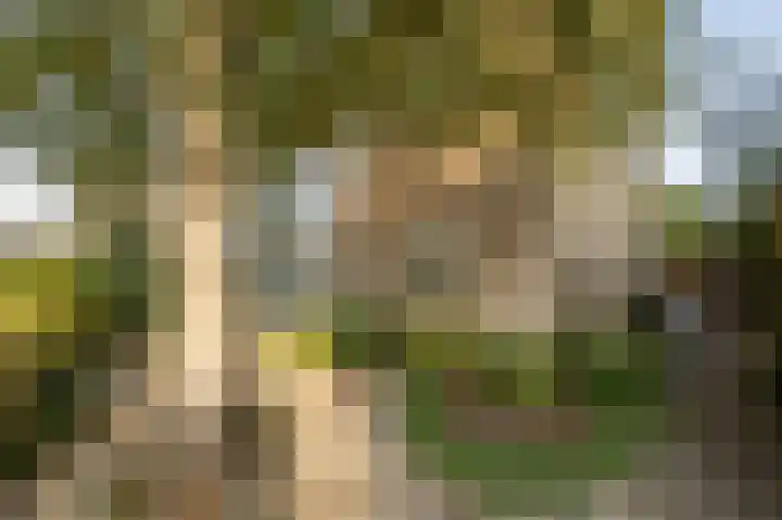 Willem Barentszstraat 4 Oud-Beijerland thumbnail 31