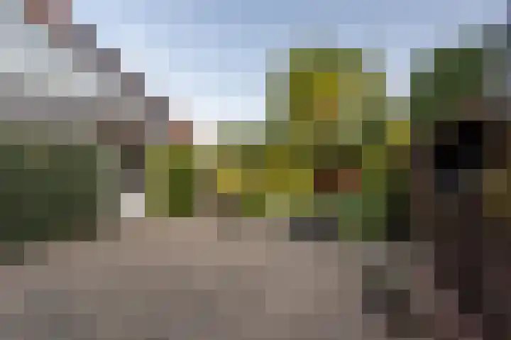 Willem Barentszstraat 4 Oud-Beijerland thumbnail 32