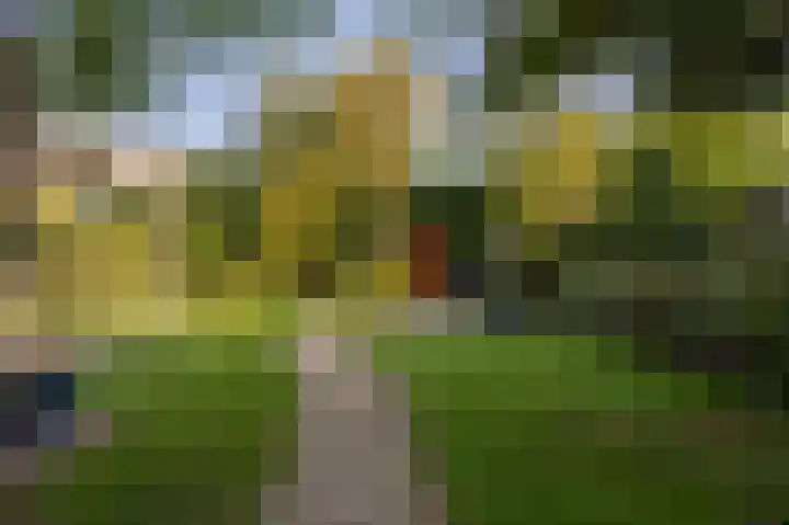Willem Barentszstraat 4 Oud-Beijerland thumbnail 34