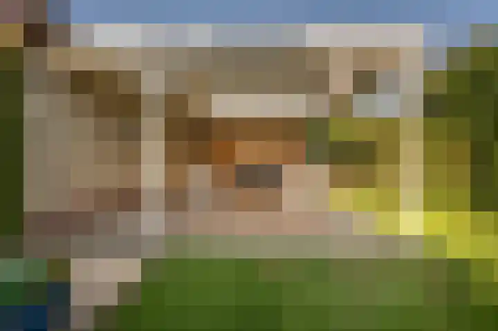 Willem Barentszstraat 4 Oud-Beijerland thumbnail 35