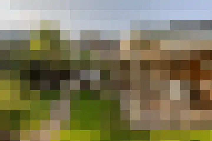 Willem Barentszstraat 4 Oud-Beijerland thumbnail 37