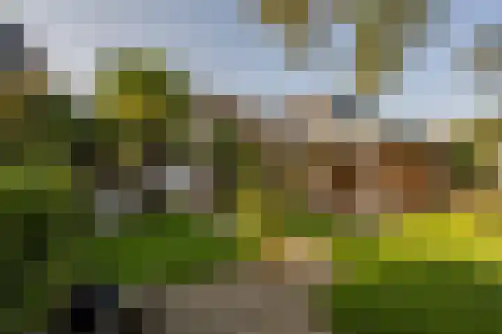 Willem Barentszstraat 4 Oud-Beijerland thumbnail 4