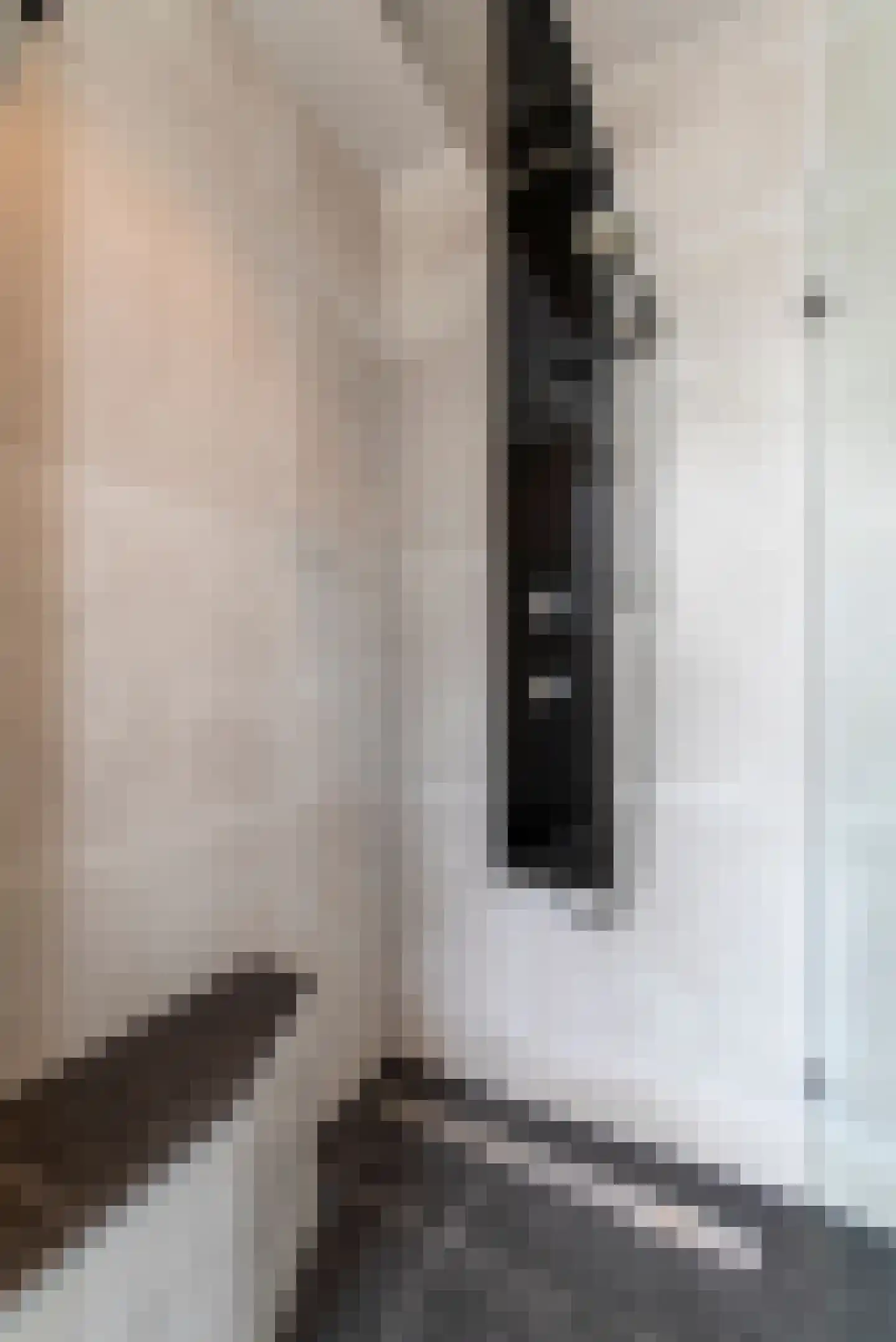 Willem Barentszstraat 4 Veenendaal thumbnail 20