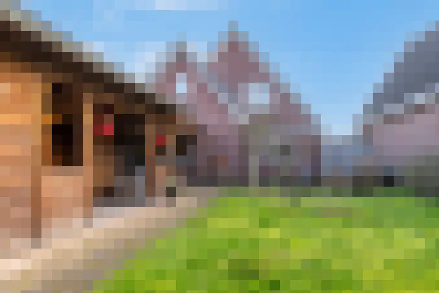 Willem Barentszstraat 4 Veenendaal thumbnail 28