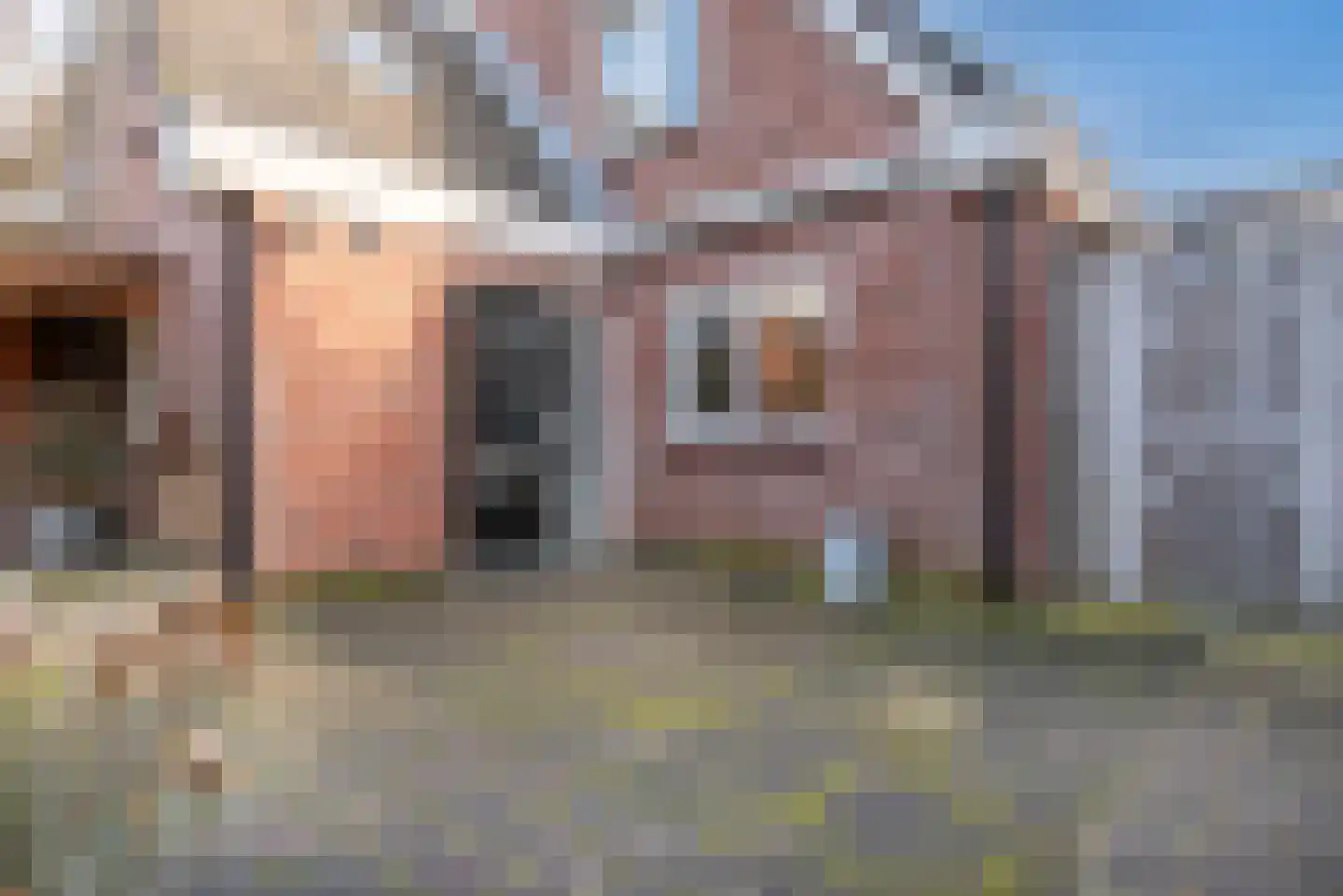 Willem Barentszstraat 4 Veenendaal thumbnail 32