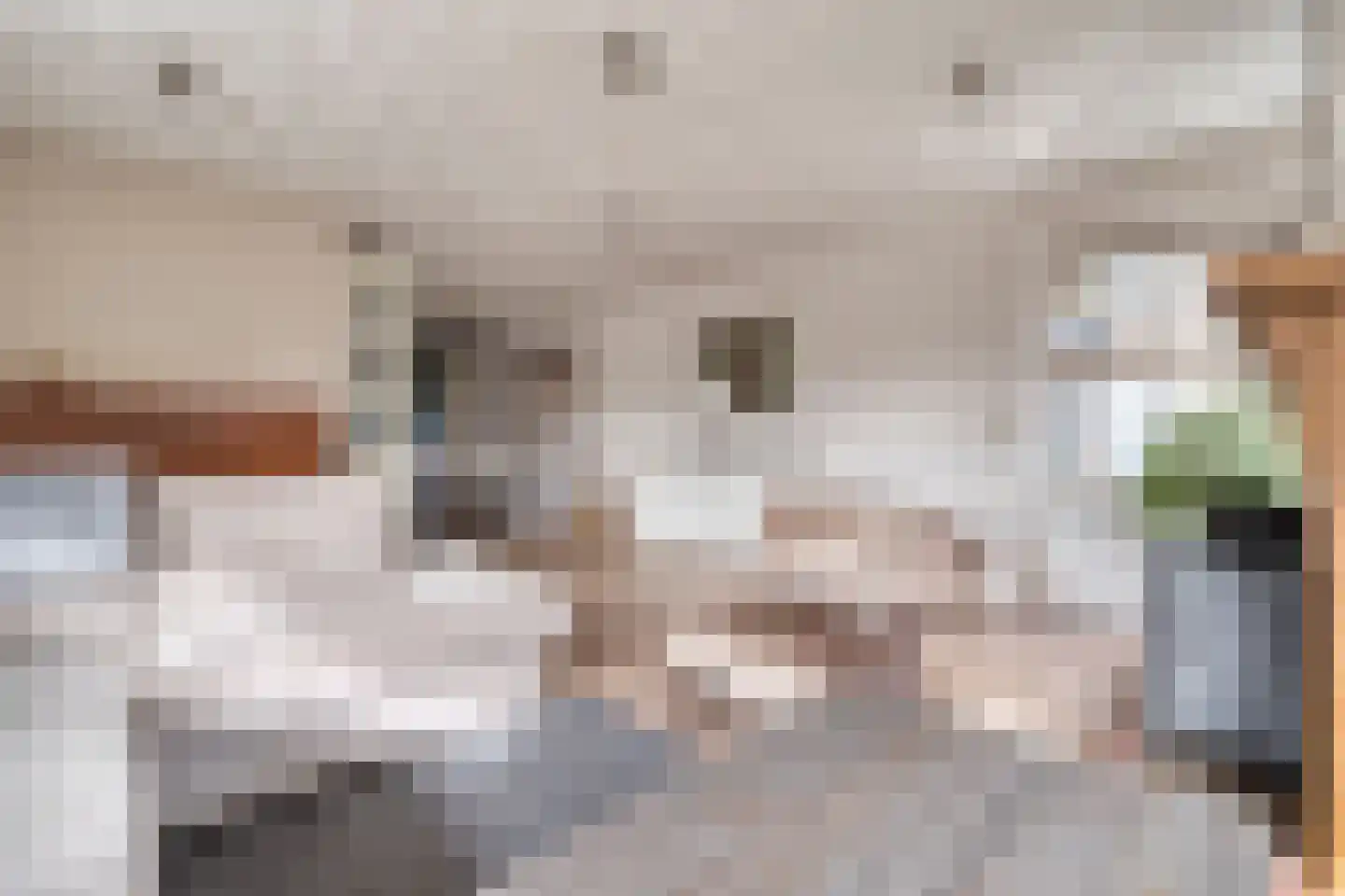 Willem Barentszstraat 4 Veenendaal thumbnail 4