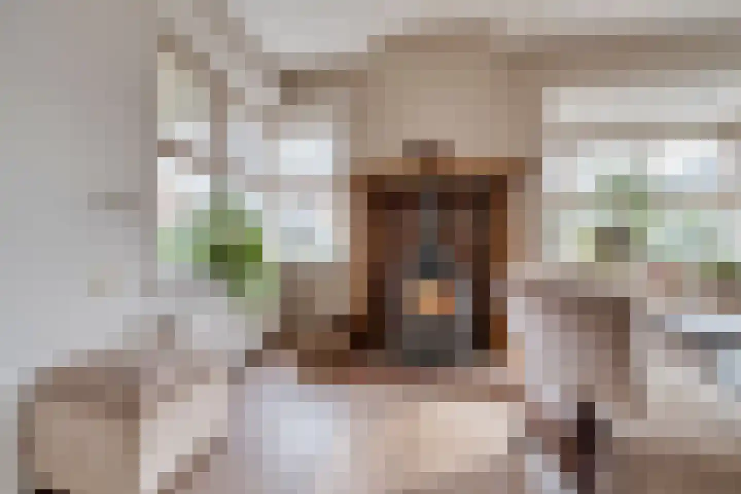 Willem Barentszstraat 4 Veenendaal thumbnail 6