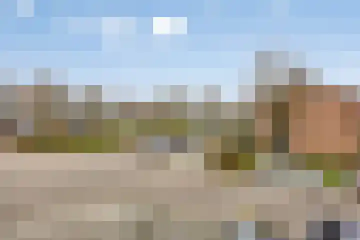 Willem Barentszstraat 46 's-Hertogenbosch thumbnail 36