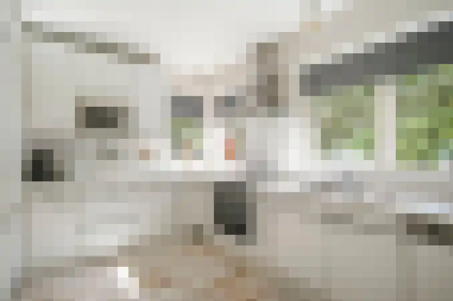 Willem Barentszstraat 47 Veenendaal thumbnail 17