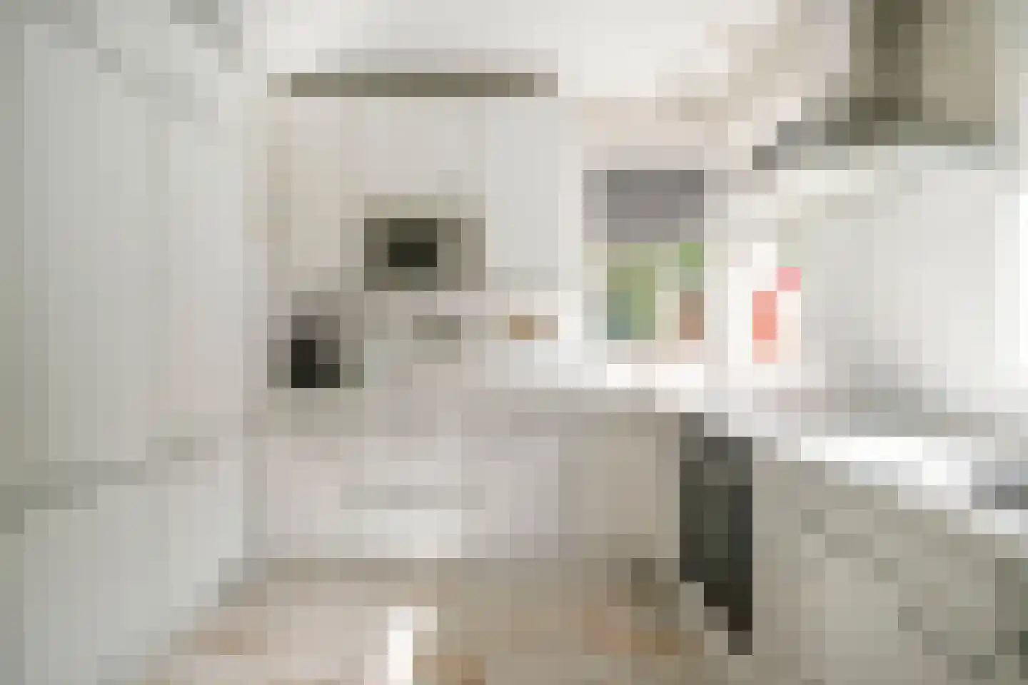 Willem Barentszstraat 47 Veenendaal thumbnail 18