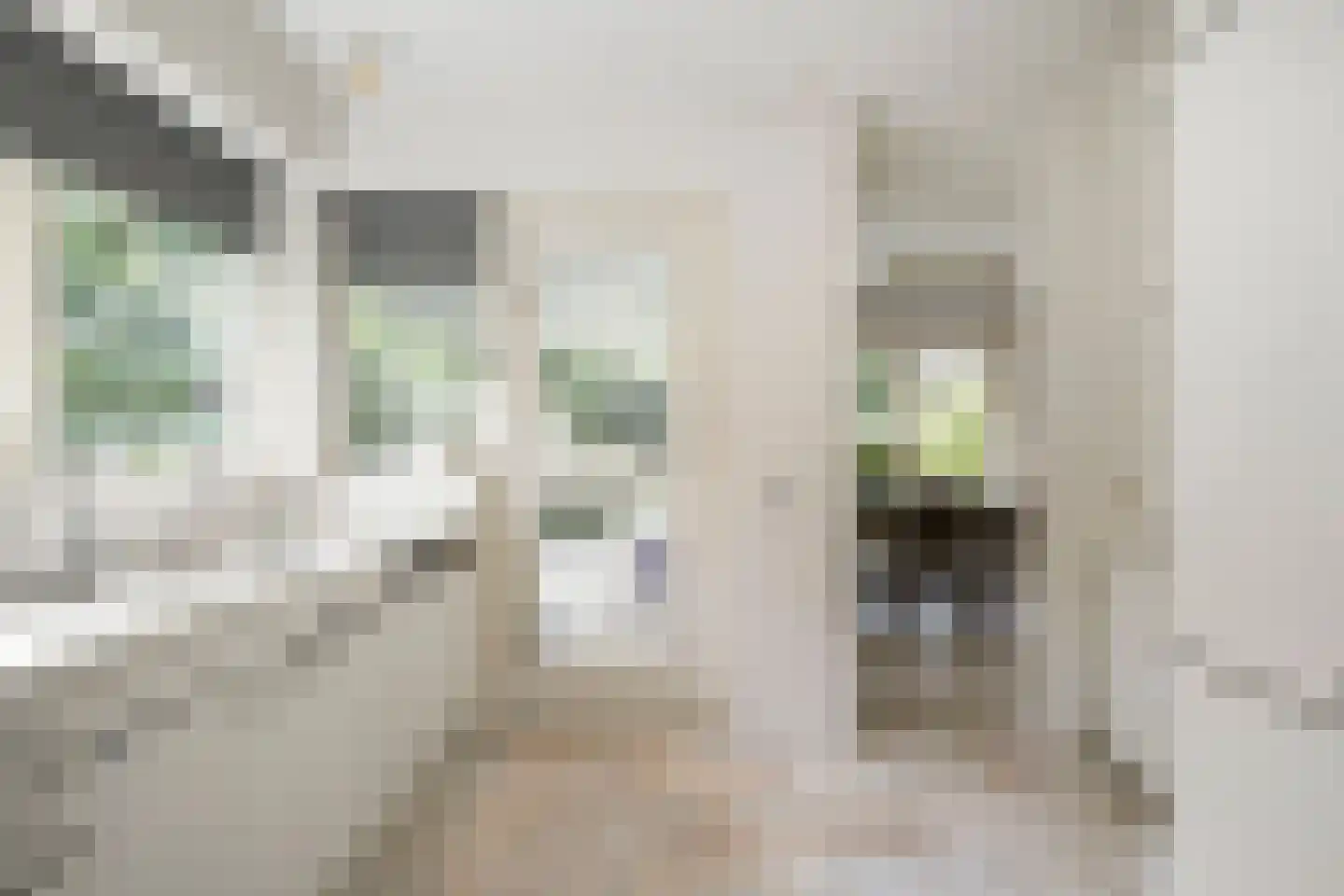 Willem Barentszstraat 47 Veenendaal thumbnail 19