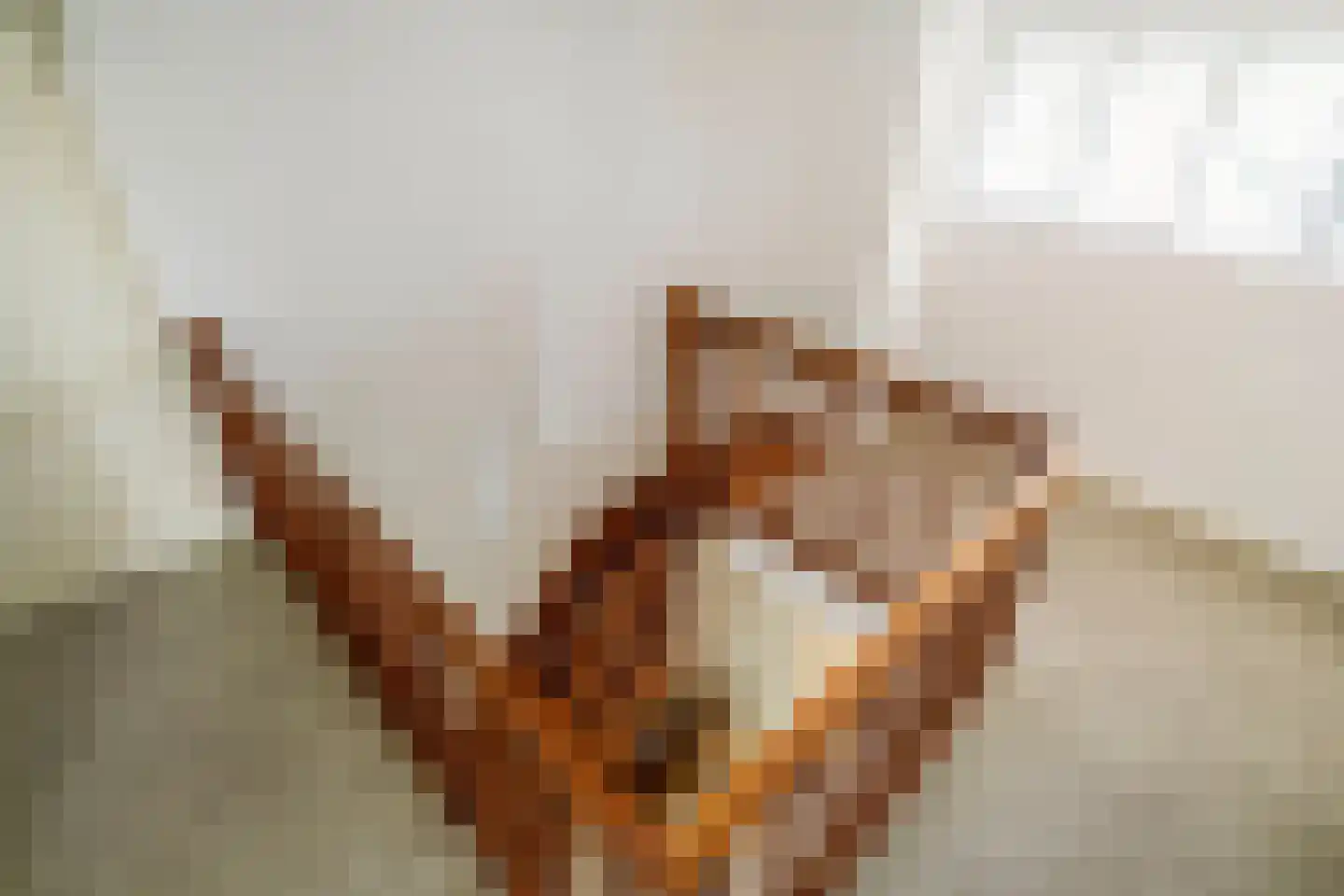 Willem Barentszstraat 47 Veenendaal thumbnail 28