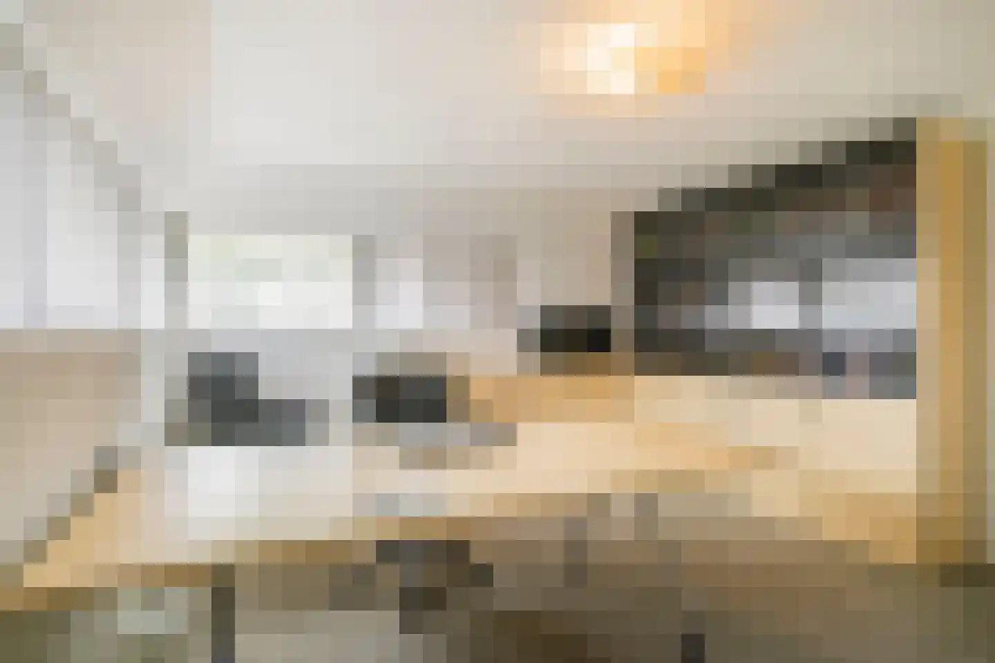 Willem Barentszstraat 47 Veenendaal thumbnail 32