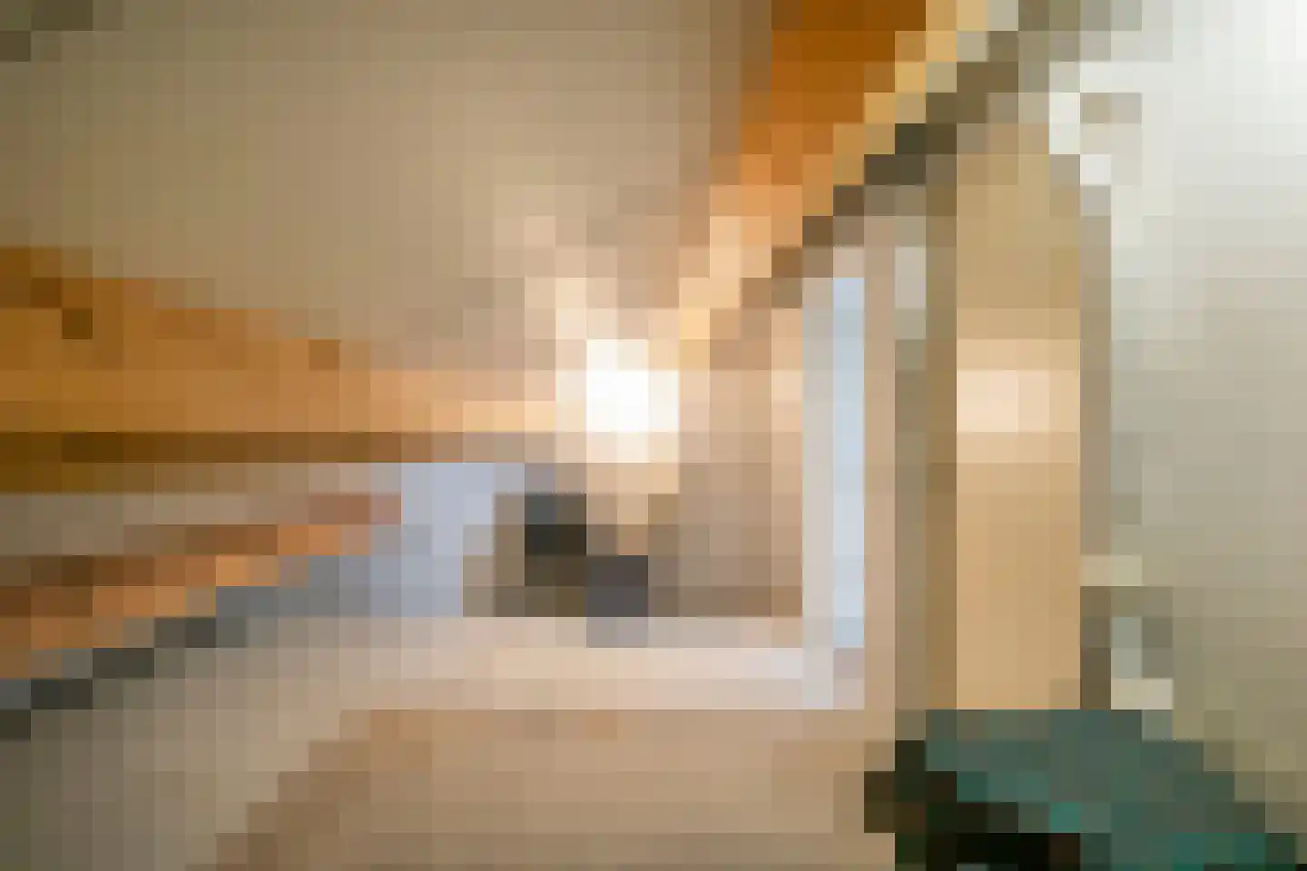 Willem Barentszstraat 47 Veenendaal thumbnail 37
