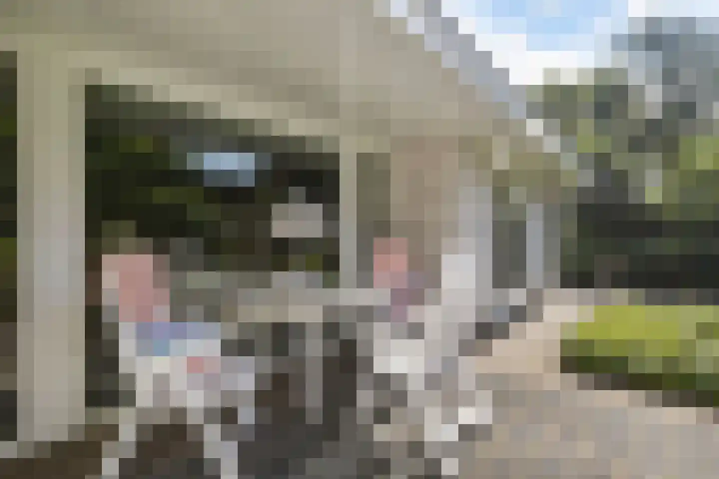 Willem Barentszstraat 47 Veenendaal thumbnail 43