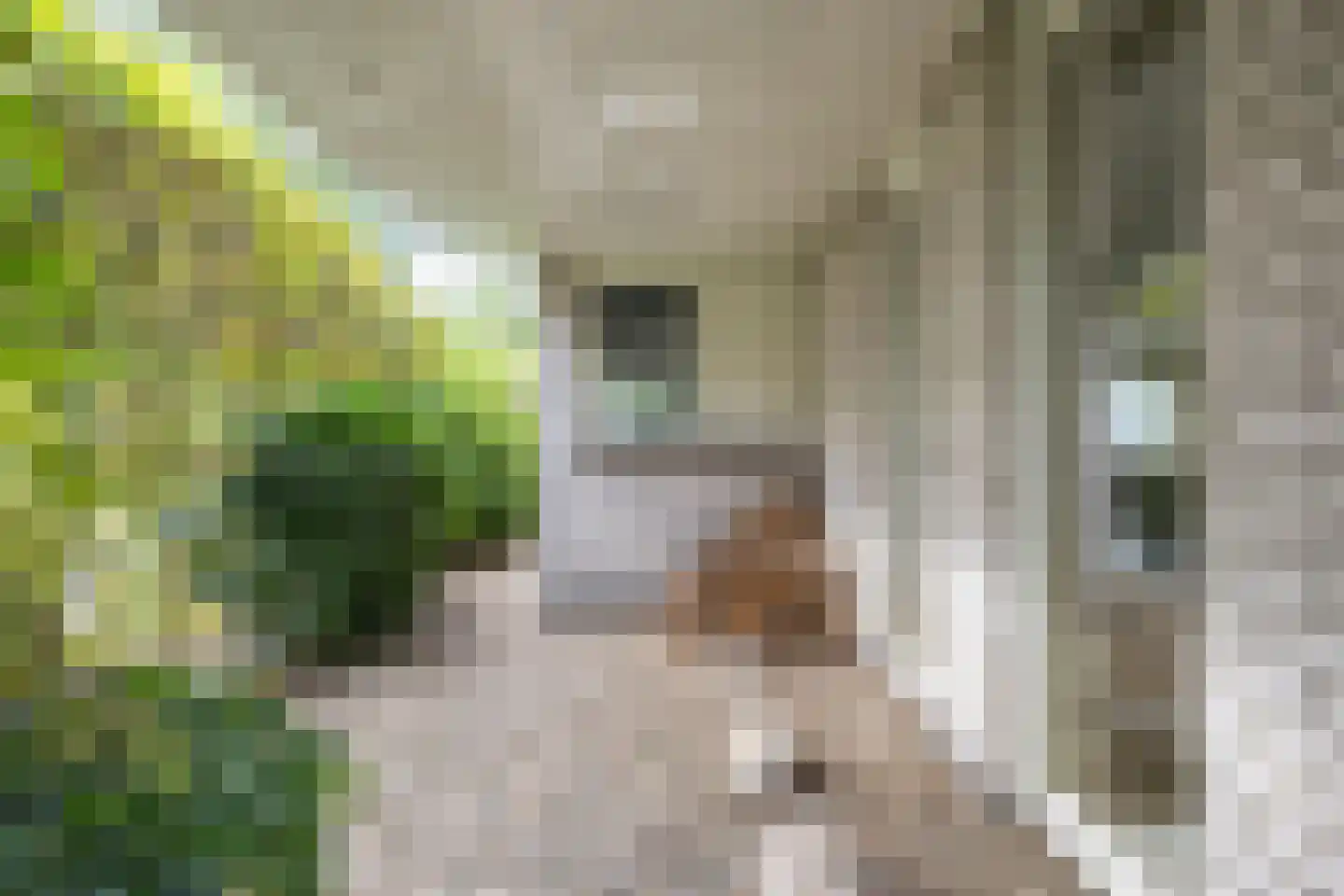 Willem Barentszstraat 47 Veenendaal thumbnail 47