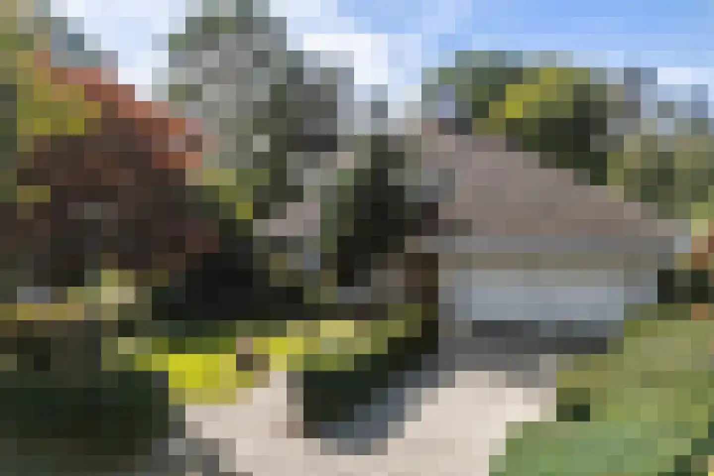 Willem Barentszstraat 47 Veenendaal thumbnail 57