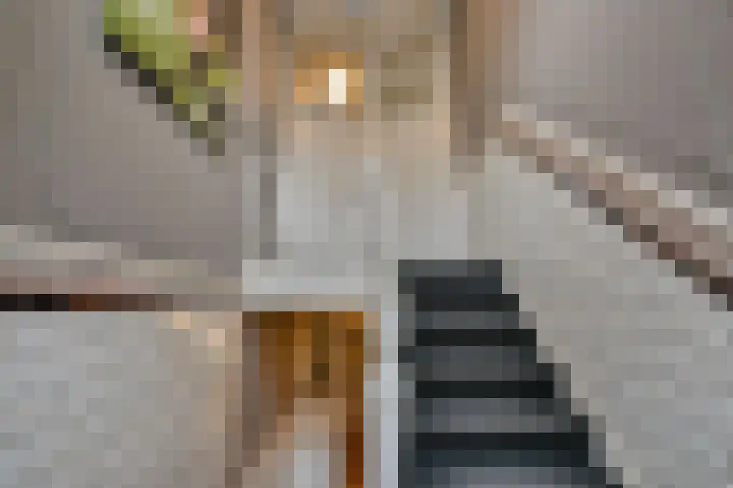 Willem Barentszstraat 48 Utrecht thumbnail 13