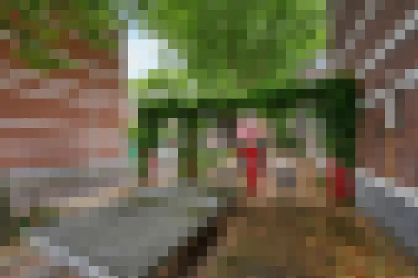 Willem Barentszstraat 48 Utrecht thumbnail 44