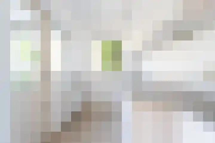 Willem Barentszstraat 53 Bussum thumbnail 12