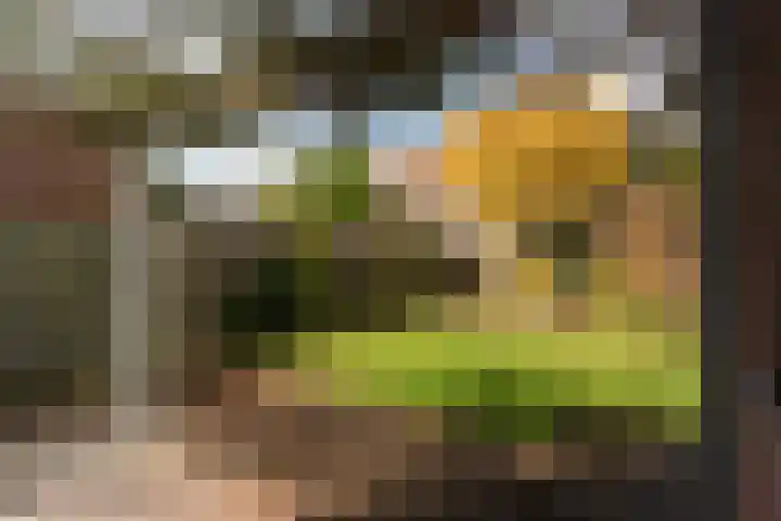 Willem Barentszstraat 53 Bussum thumbnail 25