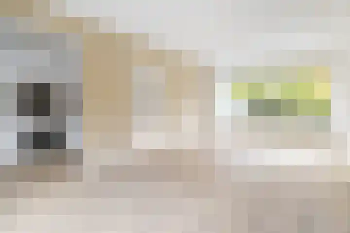 Willem Barentszstraat 53 Bussum thumbnail 9