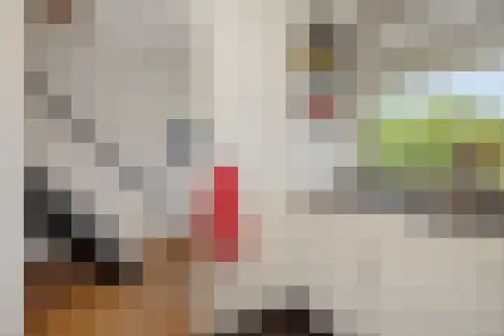 Willem Barentszstraat 54 's-Hertogenbosch thumbnail 10