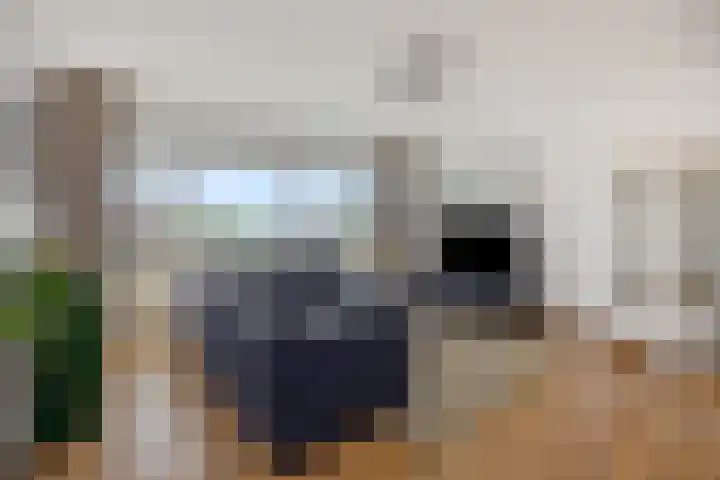 Willem Barentszstraat 54 's-Hertogenbosch thumbnail 6