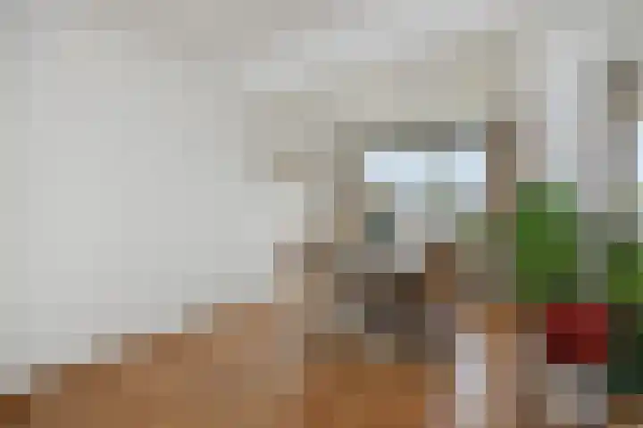 Willem Barentszstraat 54 's-Hertogenbosch thumbnail 8